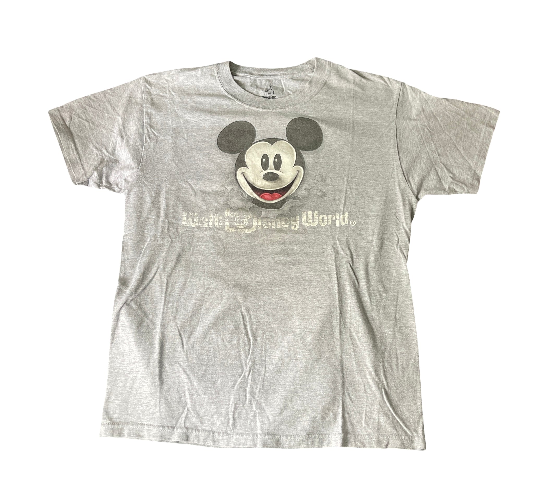 (M) Walt Disney World Mickey Tee