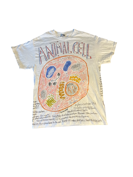 (M) Animal/Plant Cell Tee
