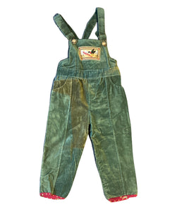 (2T) Green WildlifeSports Children’s Overalls