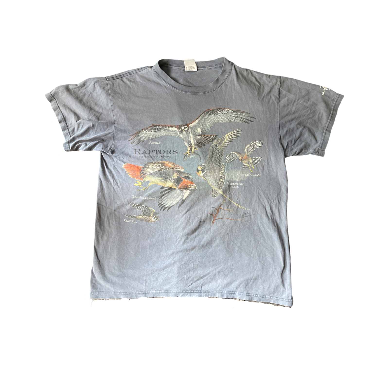 (L) Birds of Prey Graphic Tee